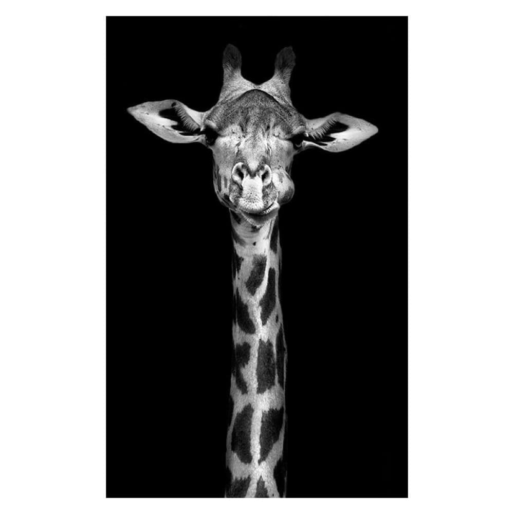 Affiche Girafe noir et blanc