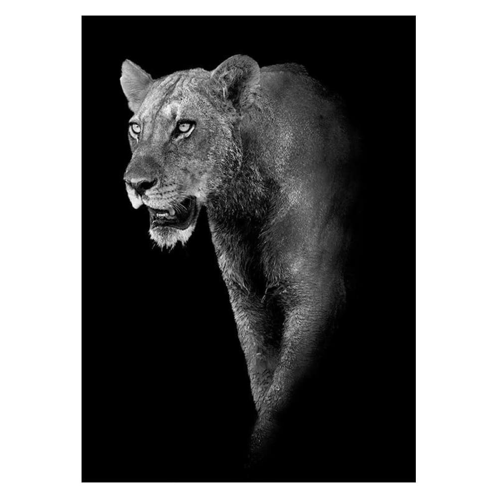 Affiche Lionne noir et blanc