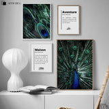 Affiche Animaux <Br /> Paon 1704