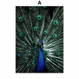 Affiche Animaux <Br /> Paon A4 21X30 Cm / A 1704