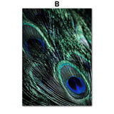 Affiche Animaux <Br /> Paon A4 21X30 Cm / B 1704