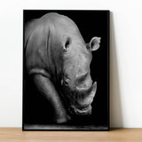Affiche <br /> Rhinocéros