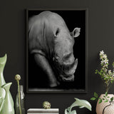 Affiche <br /> Rhinocéros