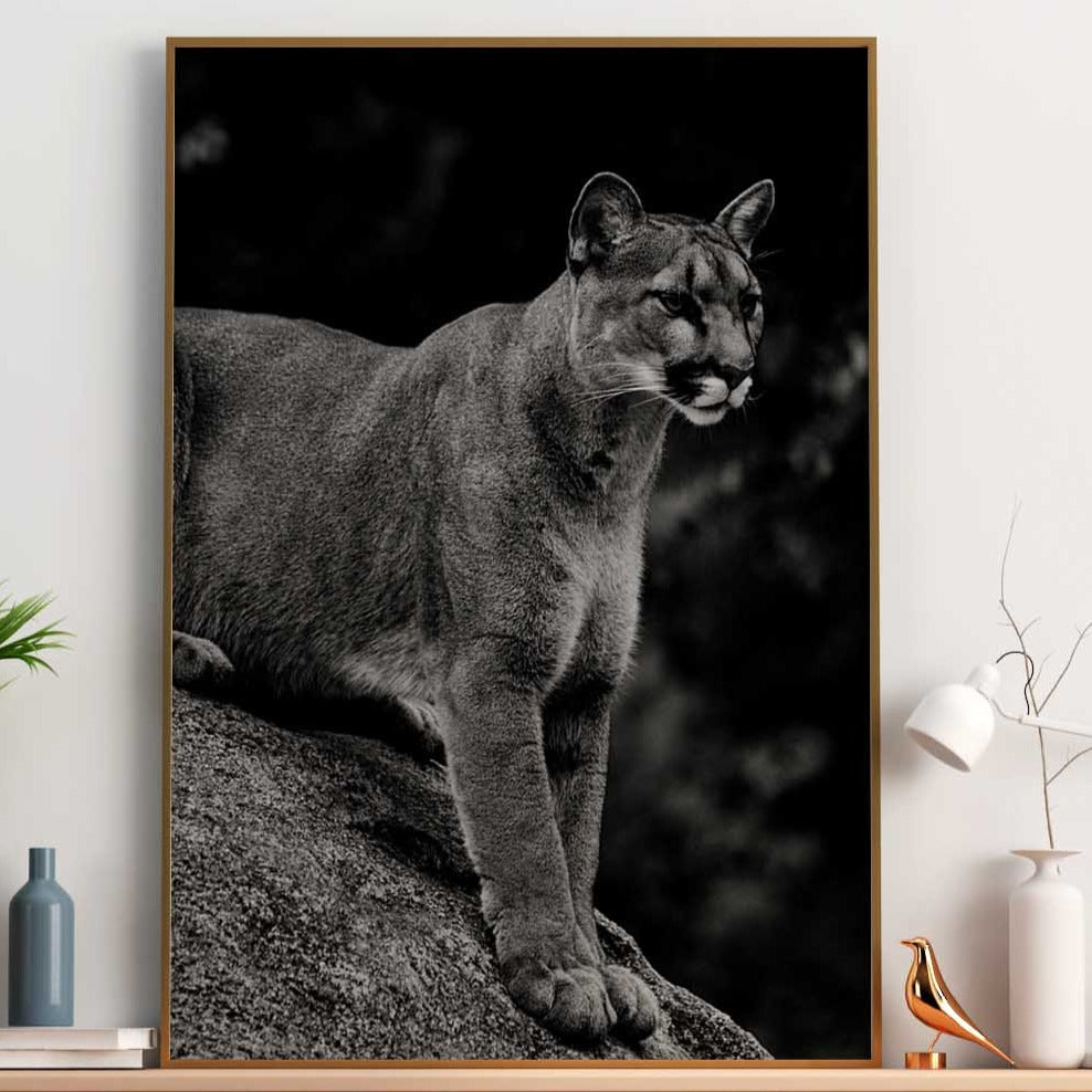 Chat Prix Puma Animal Tableaux Sur Toile Puma Accouplement De