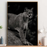 tableau puma noir et blanc - affiche poster