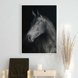 Affiche cheval <br /> noir et blanc