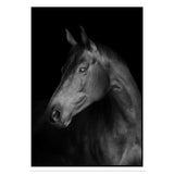 Affiche cheval <br /> noir et blanc