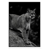 Affiche Puma <br /> noir et blanc