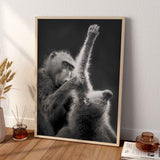 affiche singe - animaux noir et blanc