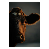 Affiche <br /> Vache