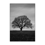 Affiche Arbre <br /> noir et blanc