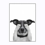 Affiche chien <br /> noir et blanc