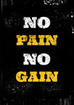 Affiche Motivation <Br /> No Pain No Gain 21X30Cm 1703