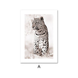 Affiche Jaguar <br />animaux