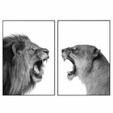 Affiche <br /> Lion et Lionne