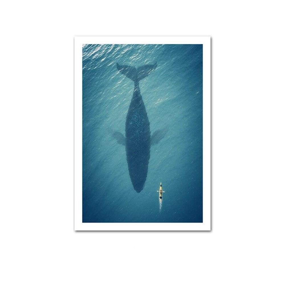 Baleine posters et affiches d'Animaux | Affichea