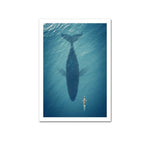 Affiche Animaux <Br /> Baleine 21X30Cm / A 1704