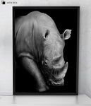 Affiche Animaux <Br /> Rhinocéros 1704