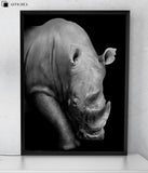 Affiche Animaux <Br /> Rhinocéros 1704