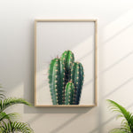 affiche-cactus-vert