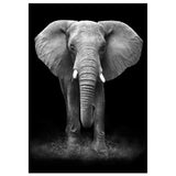 Affiche Eléphant <br /> noir et blanc