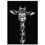 Affiche Girafe <br /> noir et blanc