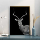 affiche animaux antilope savane noir et blanc