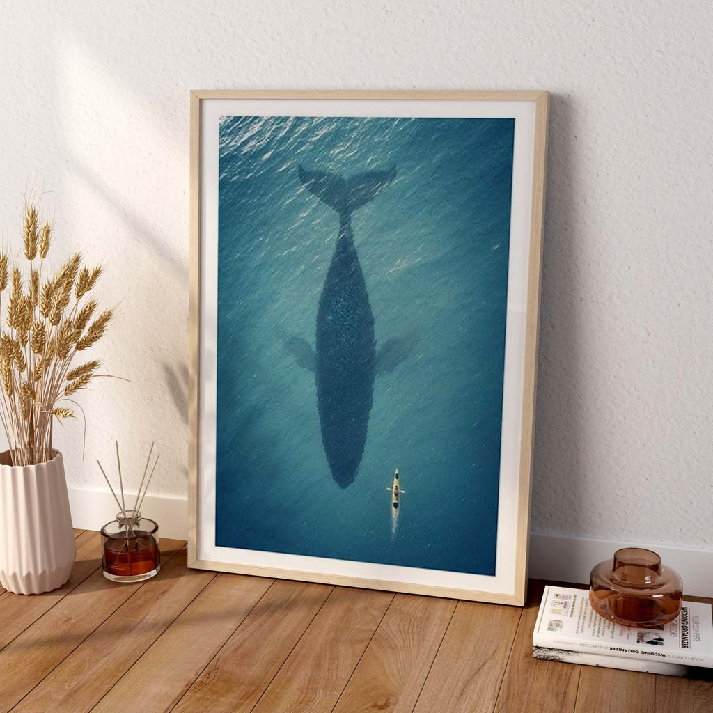 Baleine posters et affiches d'Animaux | Affichea