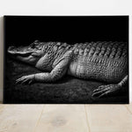 affiche crocodile - Poster animaux en noir et blanc