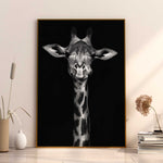 affiche girafe