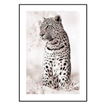 Affiche Jaguar <br />animaux