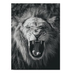 Affiche <br /> Lion Rugissant