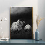 poster mouton noir et blanc - décoration scandinave