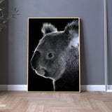 affiche koala noir