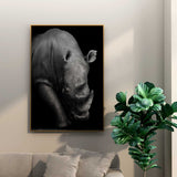 Affiche <br /> Rhinocéros