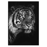 Affiche Tigre <br /> noir et blanc