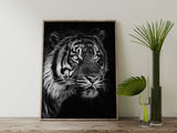 Affiche Tigre <br /> noir et blanc