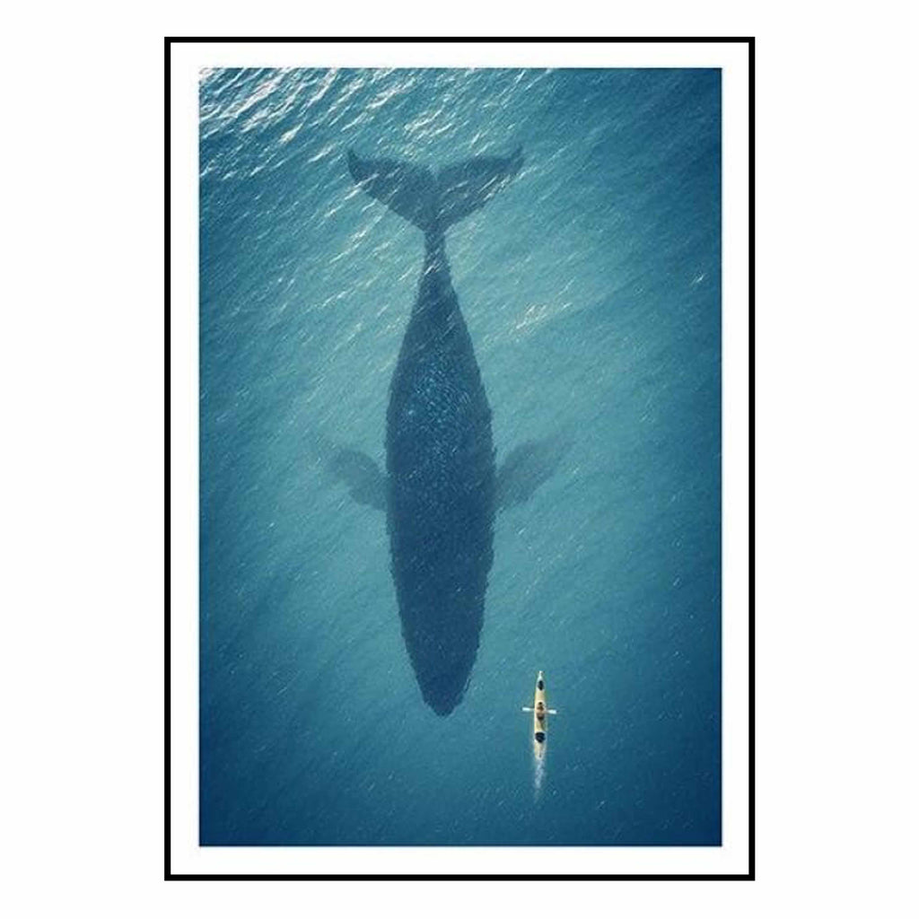 Baleine posters et affiches d'Animaux | Affichea