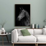 Affiche cheval <br /> noir et blanc