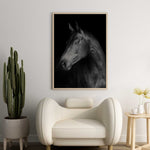 Affiche cheval <br /> noir et blanc